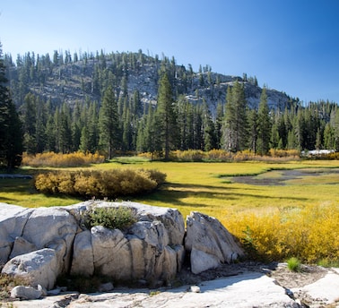 f57d7cfef999129a044348ecb72b851d863db83c